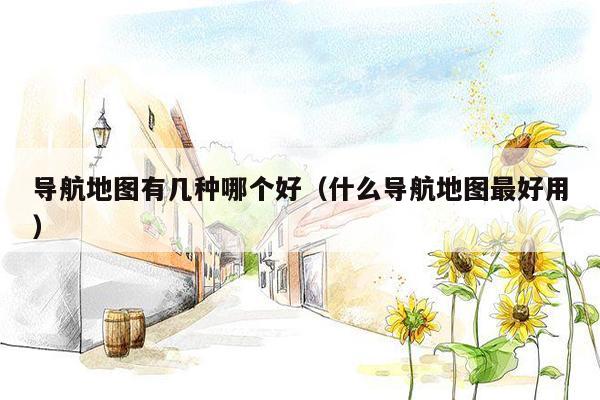 导航地图有几种哪个好（什么导航地图最好用）