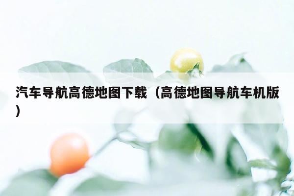 汽车导航高德地图下载（高德地图导航车机版）