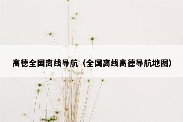 高德全国离线导航（全国离线高德导航地图）