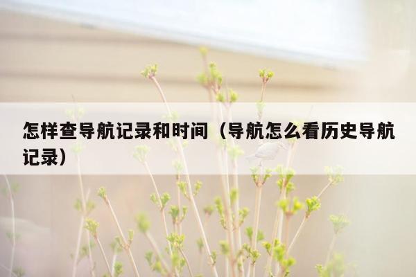 怎样查导航记录和时间（导航怎么看历史导航记录）