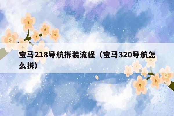 宝马218导航拆装流程（宝马320导航怎么拆）