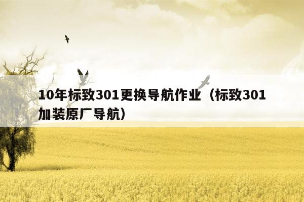 10年标致301更换导航作业（标致301加装原厂导航）