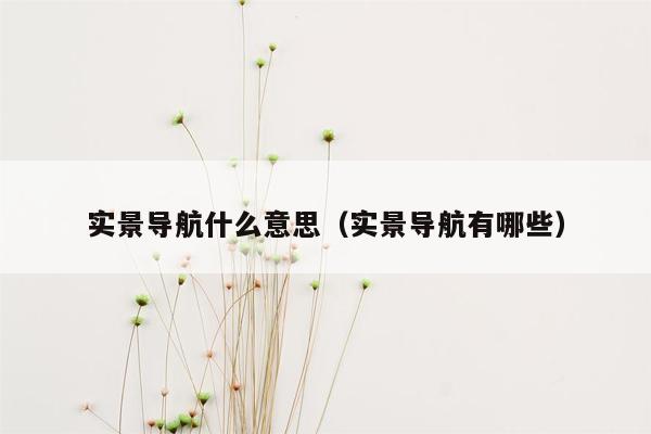 实景导航什么意思（实景导航有哪些）