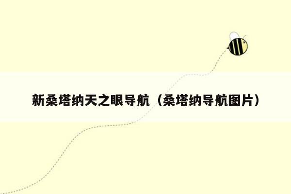 新桑塔纳天之眼导航（桑塔纳导航图片）