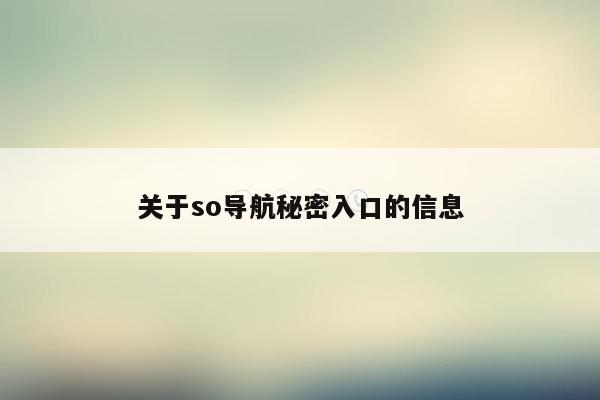 关于so导航秘密入口的信息