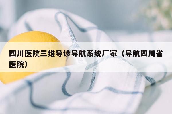 四川医院三维导诊导航系统厂家（导航四川省医院）