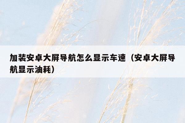 加装安卓大屏导航怎么显示车速（安卓大屏导航显示油耗）