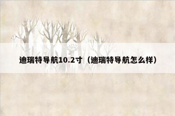 迪瑞特导航10.2寸（迪瑞特导航怎么样）