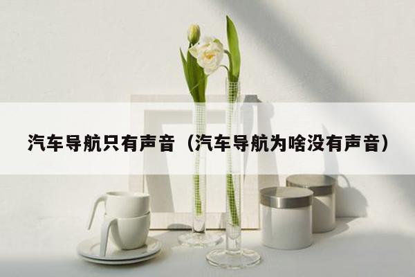 汽车导航只有声音（汽车导航为啥没有声音）