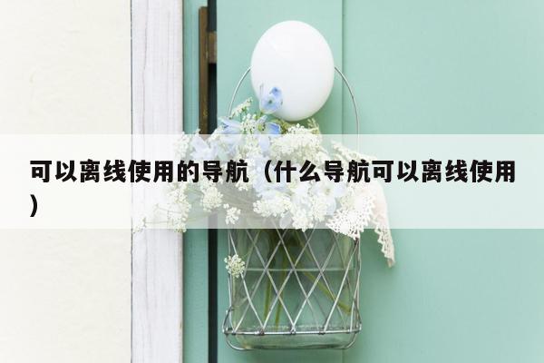 可以离线使用的导航（什么导航可以离线使用）