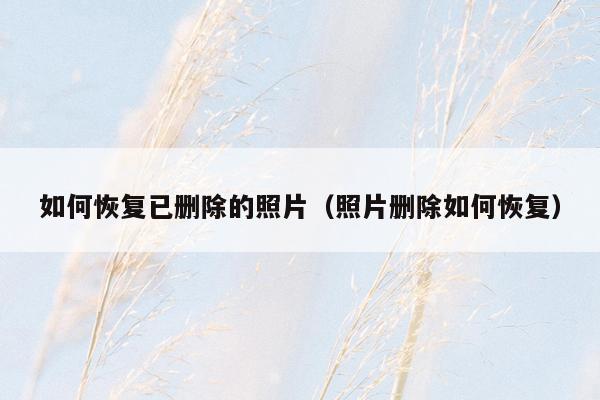 如何恢复已删除的照片（照片删除如何恢复）
