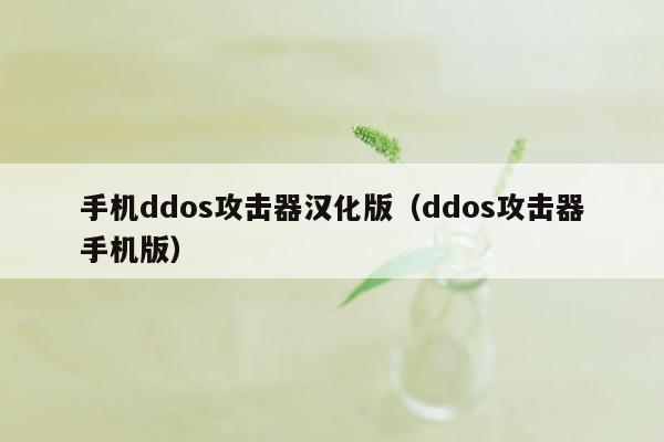手机ddos攻击器汉化版（ddos攻击器手机版）