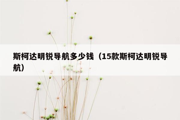 斯柯达明锐导航多少钱（15款斯柯达明锐导航）
