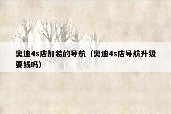 奥迪4s店加装的导航（奥迪4s店导航升级要钱吗）