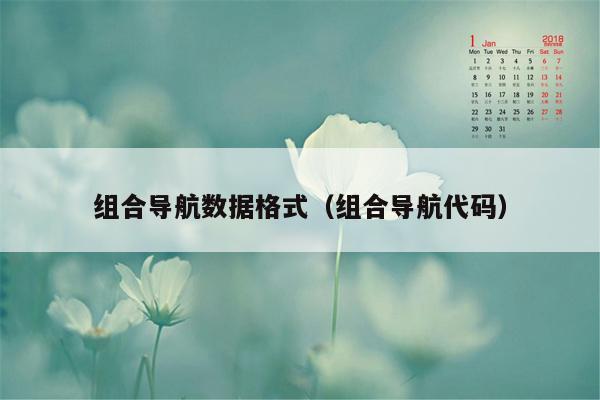 组合导航数据格式（组合导航代码）
