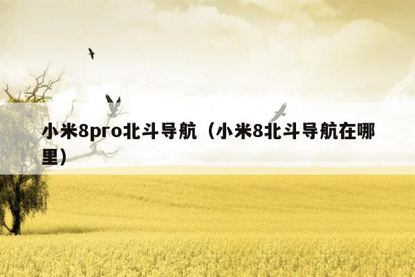 小米8pro北斗导航（小米8北斗导航在哪里）