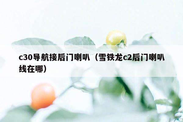 c30导航接后门喇叭（雪铁龙c2后门喇叭线在哪）