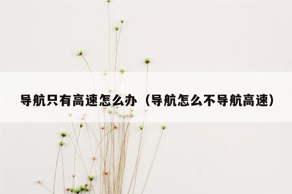 导航只有高速怎么办（导航怎么不导航高速）