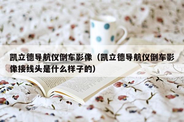 凯立德导航仪倒车影像（凯立德导航仪倒车影像接线头是什么样子的）