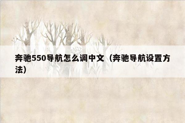 奔驰550导航怎么调中文（奔驰导航设置方法）
