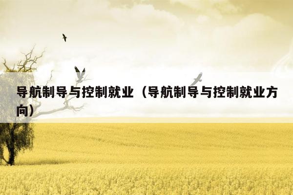 导航制导与控制就业（导航制导与控制就业方向）