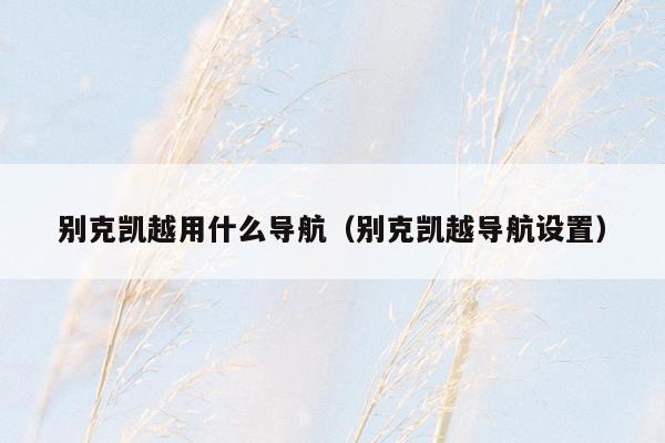 别克凯越用什么导航（别克凯越导航设置）