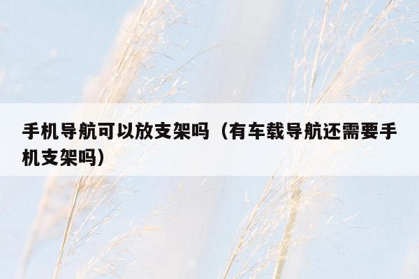 手机导航可以放支架吗（有车载导航还需要手机支架吗）