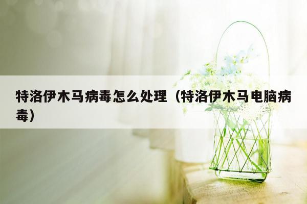 特洛伊木马病毒怎么处理（特洛伊木马电脑病毒）