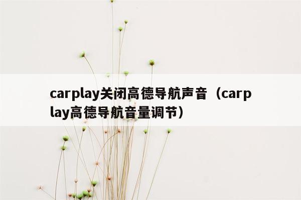 carplay关闭高德导航声音（carplay高德导航音量调节）