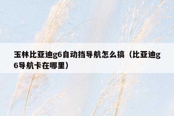玉林比亚迪g6自动挡导航怎么搞（比亚迪g6导航卡在哪里）