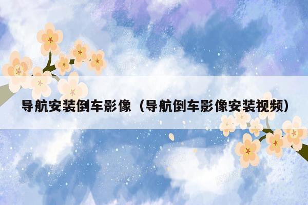 导航安装倒车影像（导航倒车影像安装视频）