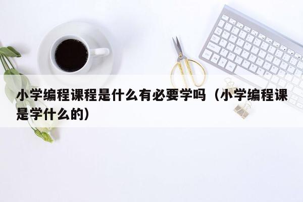 小学编程课程是什么有必要学吗（小学编程课是学什么的）