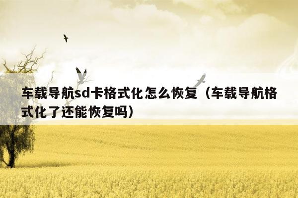 车载导航sd卡格式化怎么恢复（车载导航格式化了还能恢复吗）