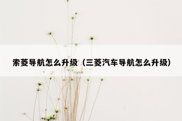 索菱导航怎么升级（三菱汽车导航怎么升级）