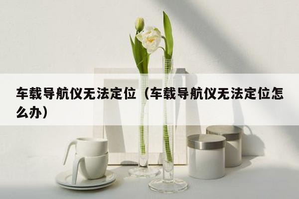 车载导航仪无法定位（车载导航仪无法定位怎么办）