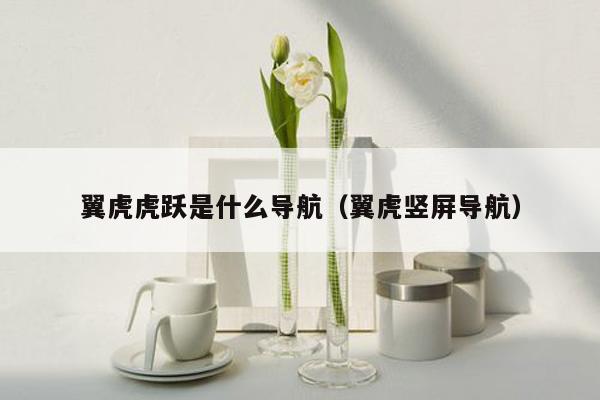 翼虎虎跃是什么导航（翼虎竖屏导航）