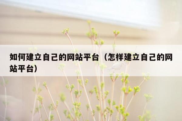 如何建立自己的网站平台（怎样建立自己的网站平台）