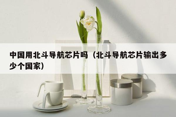 中国用北斗导航芯片吗（北斗导航芯片输出多少个国家）