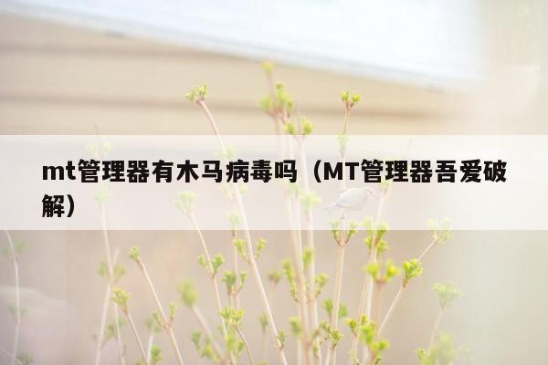 mt管理器有木马病毒吗（MT管理器吾爱破解）