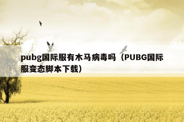 pubg国际服有木马病毒吗（PUBG国际服变态脚本下载）