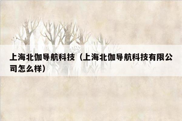 上海北伽导航科技（上海北伽导航科技有限公司怎么样）