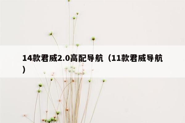 14款君威2.0高配导航（11款君威导航）