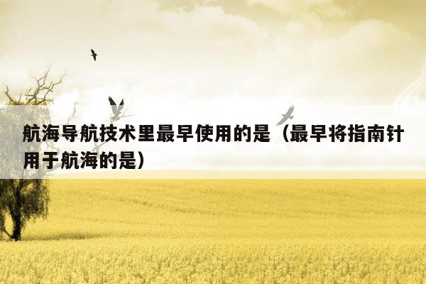 航海导航技术里最早使用的是（最早将指南针用于航海的是）