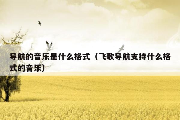 导航的音乐是什么格式（飞歌导航支持什么格式的音乐）