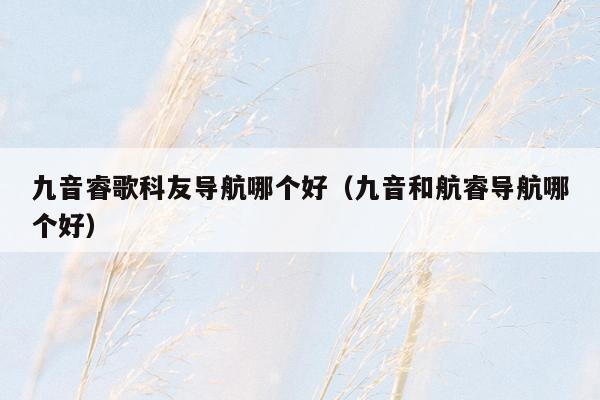 九音睿歌科友导航哪个好（九音和航睿导航哪个好）