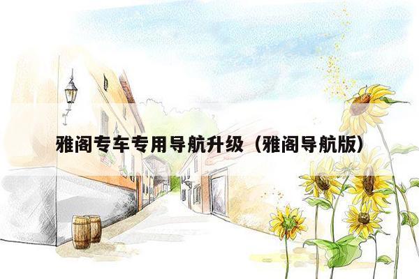 雅阁专车专用导航升级（雅阁导航版）