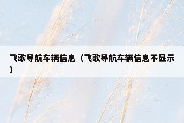 飞歌导航车辆信息（飞歌导航车辆信息不显示）