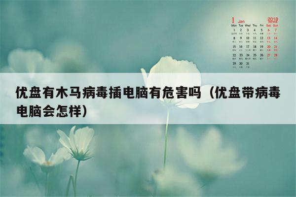优盘有木马病毒插电脑有危害吗（优盘带病毒电脑会怎样）