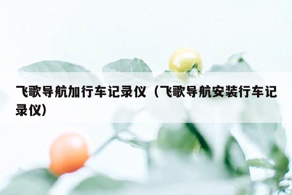 飞歌导航加行车记录仪（飞歌导航安装行车记录仪）