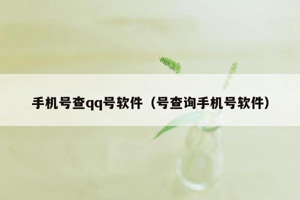 手机号查qq号软件（号查询手机号软件）